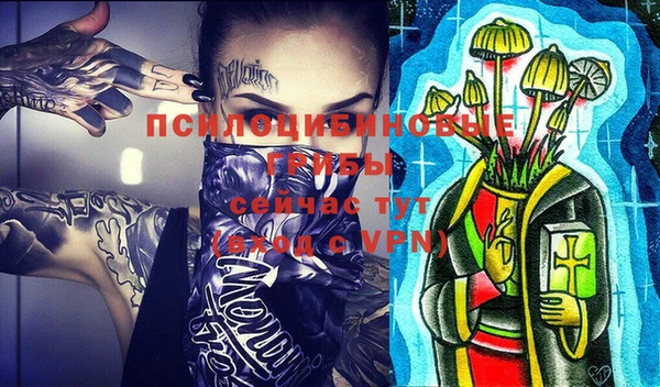 a pvp Алексин