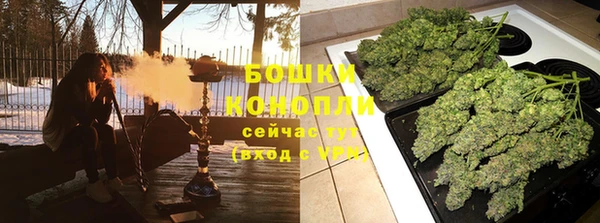 гидропоника Алзамай