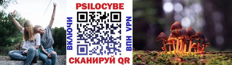 Псилоцибиновые грибы Psilocybe  закладка  Курск 